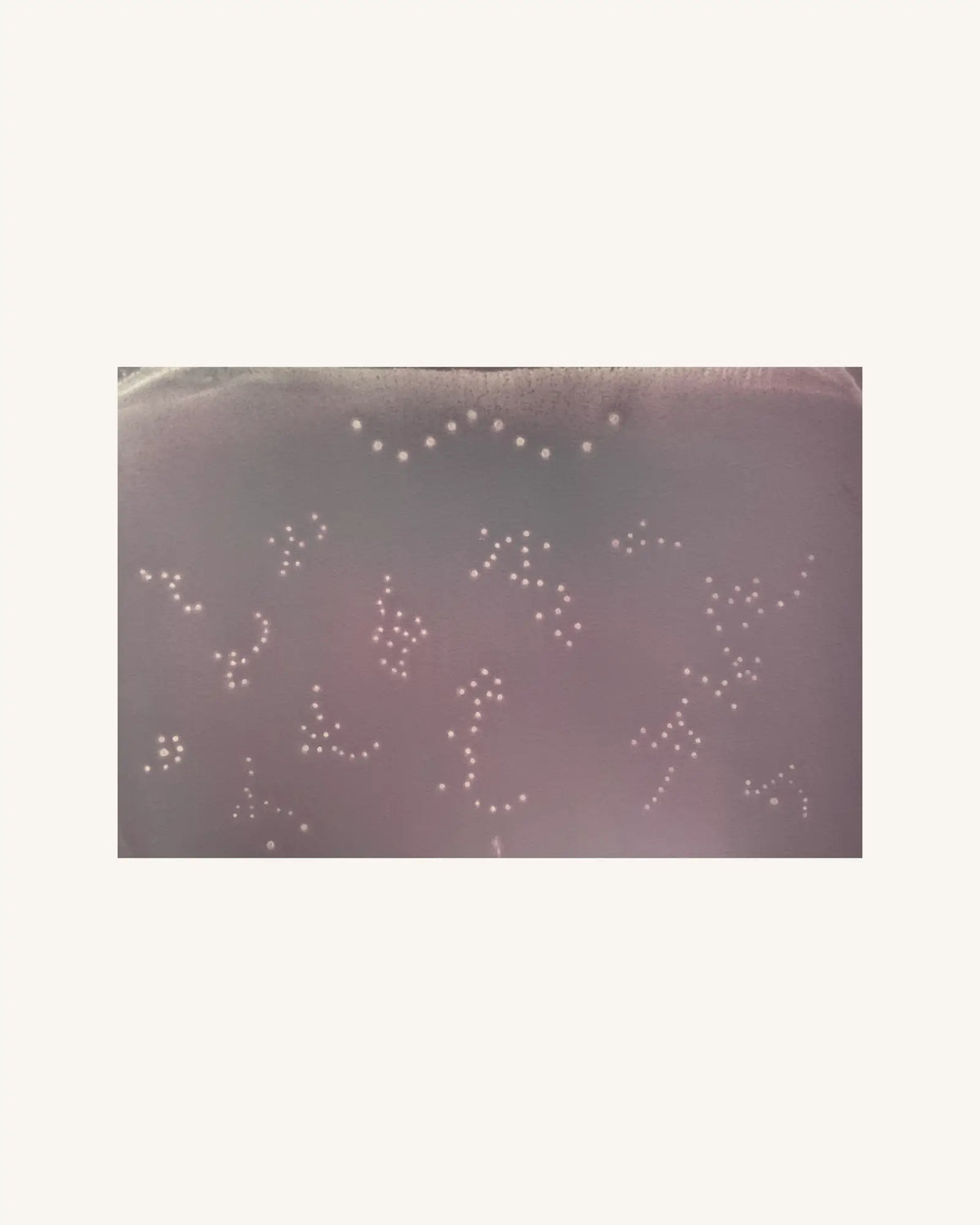 Kosmische Botschaft rosé | Cosmic message rosé 0