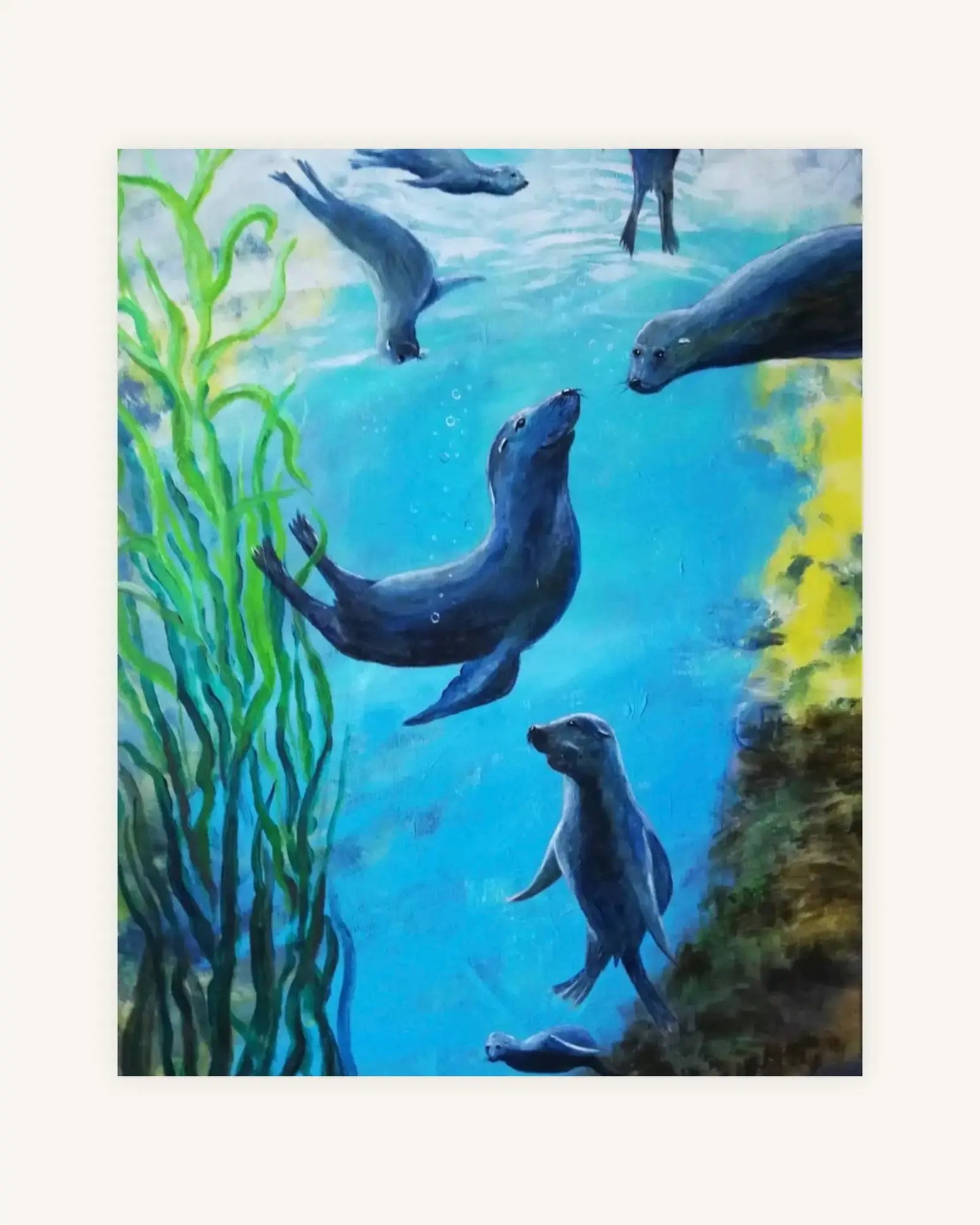 Ocean freedom 0