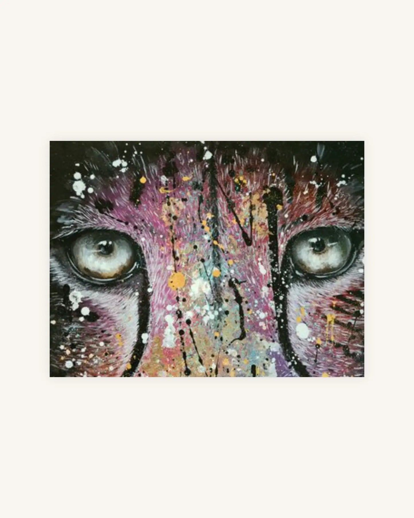 Acinonyx Jubatus 5