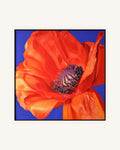 Klatschmohn Diptychon, Nielsen Alurahmen mattschwarz lackiert 3