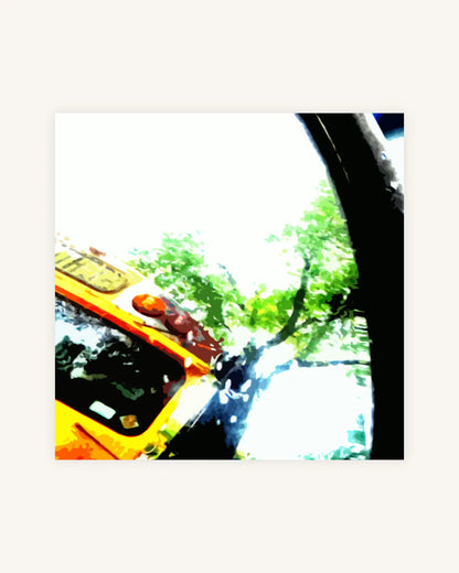 Scool 1