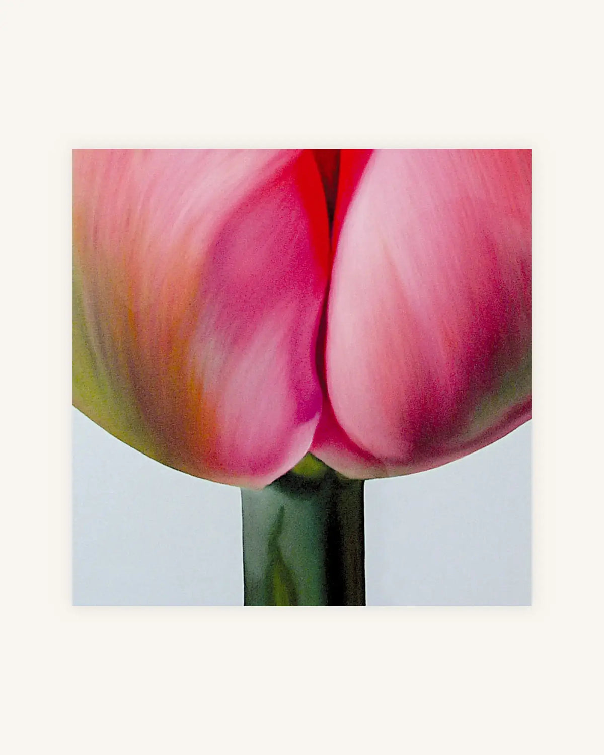 Tulpe Positiv-Negativ No. 3, Diptychon 3