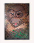 Orang-Utan Baby 0