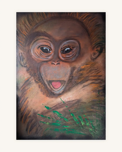 Orang-Utan Baby 0