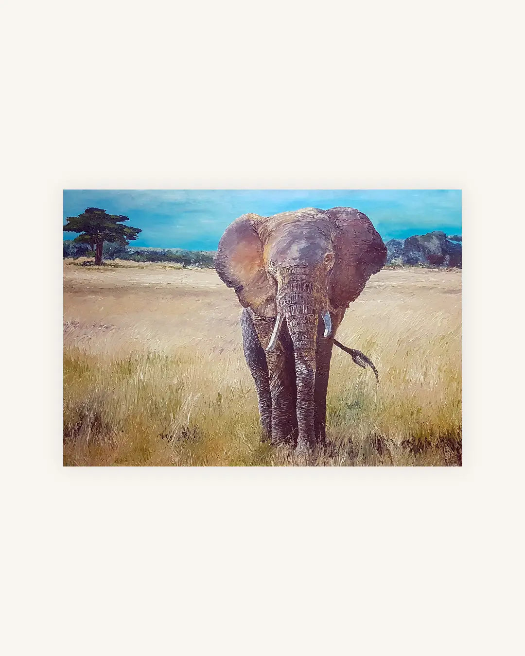 Elephant 0