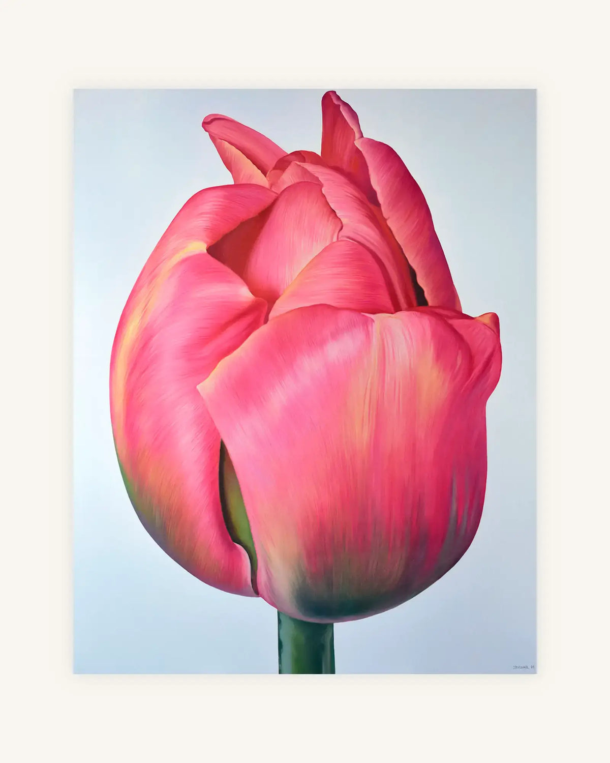 Tulpe No. 1 0