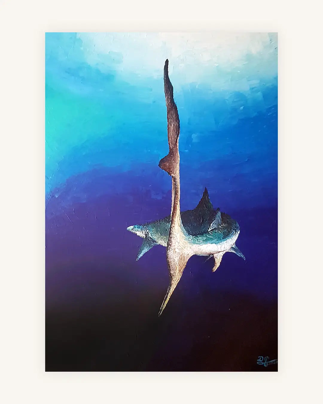 shark_from_behind 0