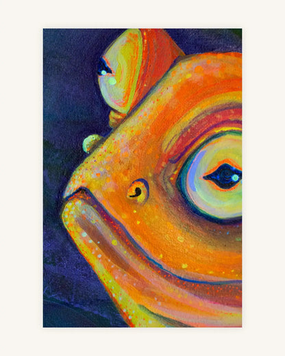 Frösh 6