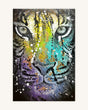 Panthera Tigris