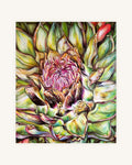 Artischocken in Blüte 0