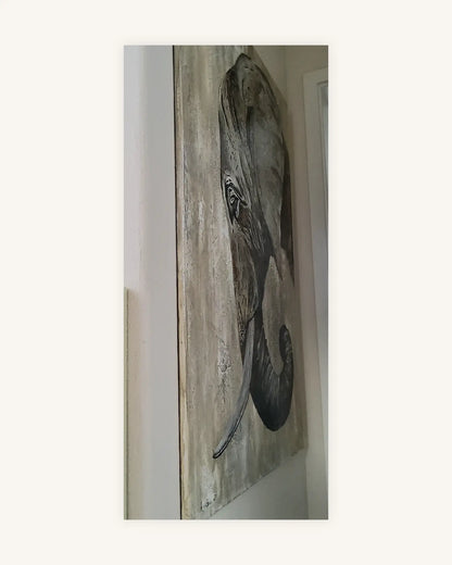 "Balu" 4
