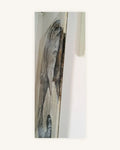 "Balu" 3