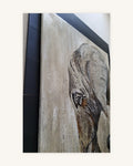 "Balu" 1