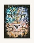 Panthera Pardus 0