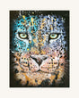 Panthera Pardus