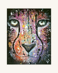 Acinonyx Jubatus 0