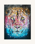 Panthera Leo Lady 0