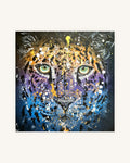 Panthera Pardus 0