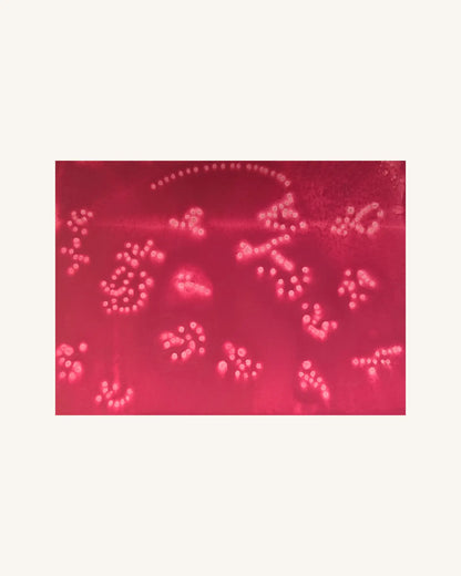 Kosmische Botschaft Rot | Cosmic Message red 0