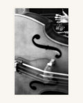 Der Kontrabass 0