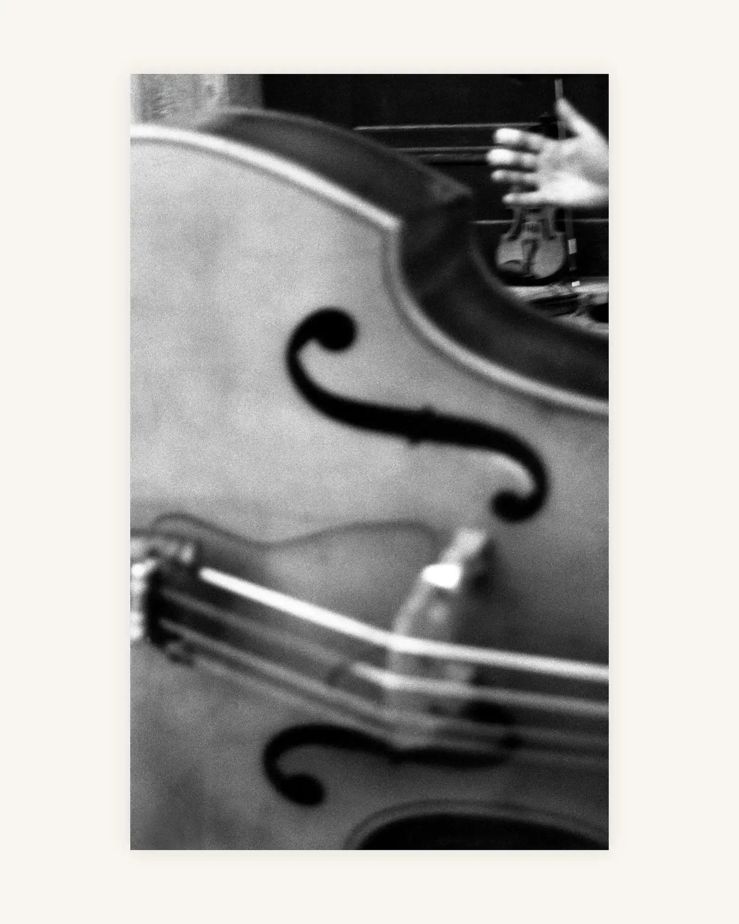 Der Kontrabass 0