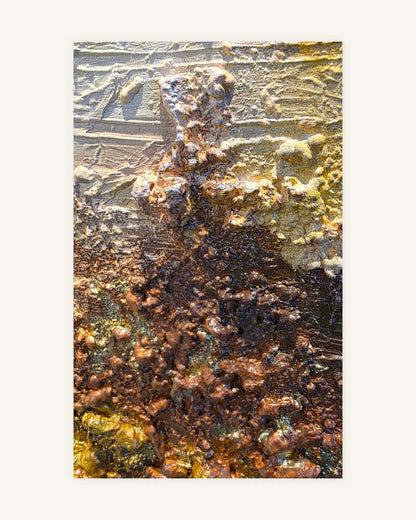 Golden Nugget 4