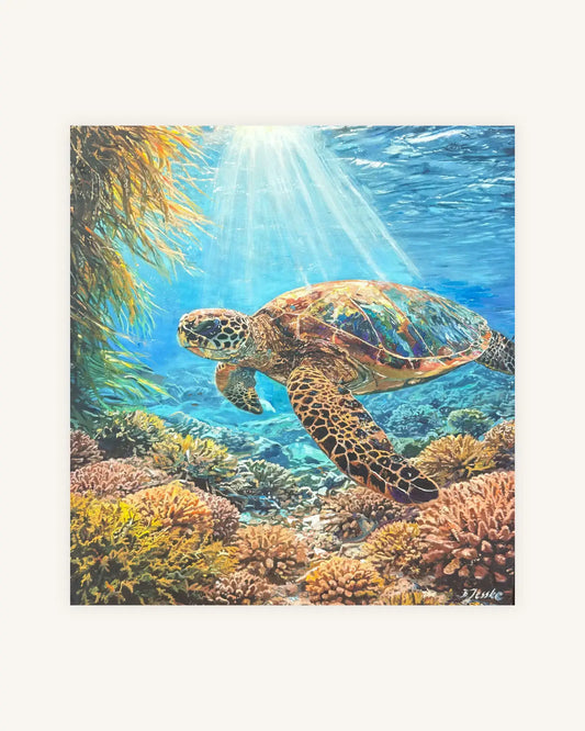 Schildkröte und Korallen 0