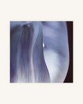 Tulpe Positiv-Negativ No. 2, Diptychon 4