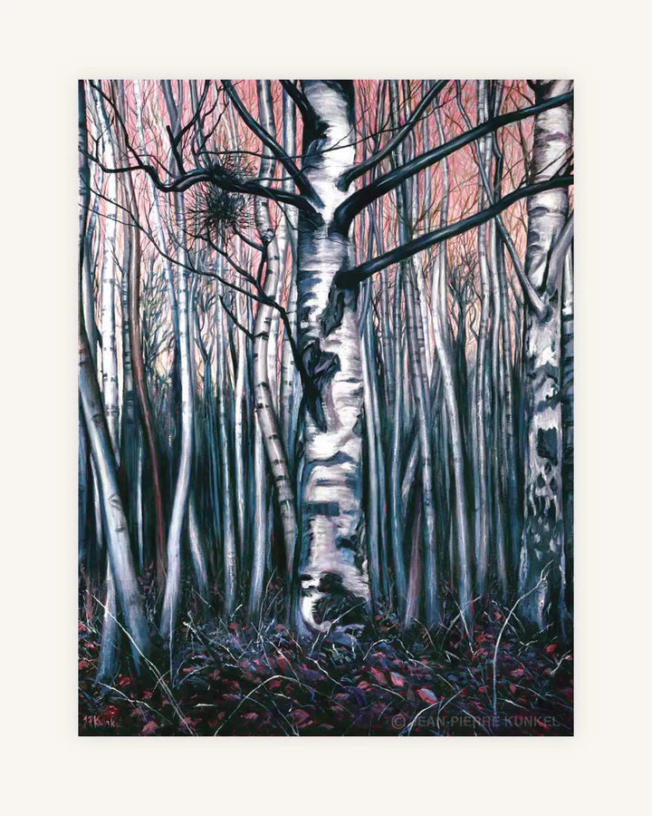 Birkenwald 0