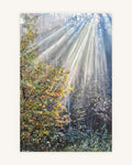 Wo das Licht den Wald berührt 0