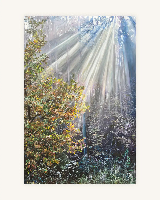 Wo das Licht den Wald berührt 0