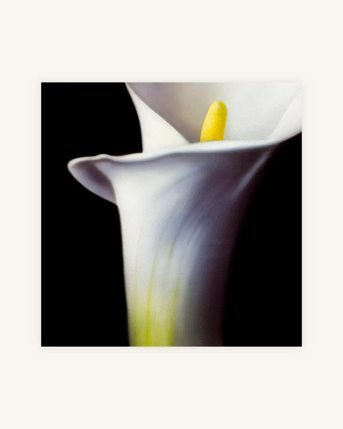 Kleine Calla Diptychon 5