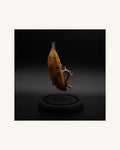 Tiny Terror 009 "Peelson" 3