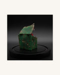 Tiny Terror 003 "Trashley" 4