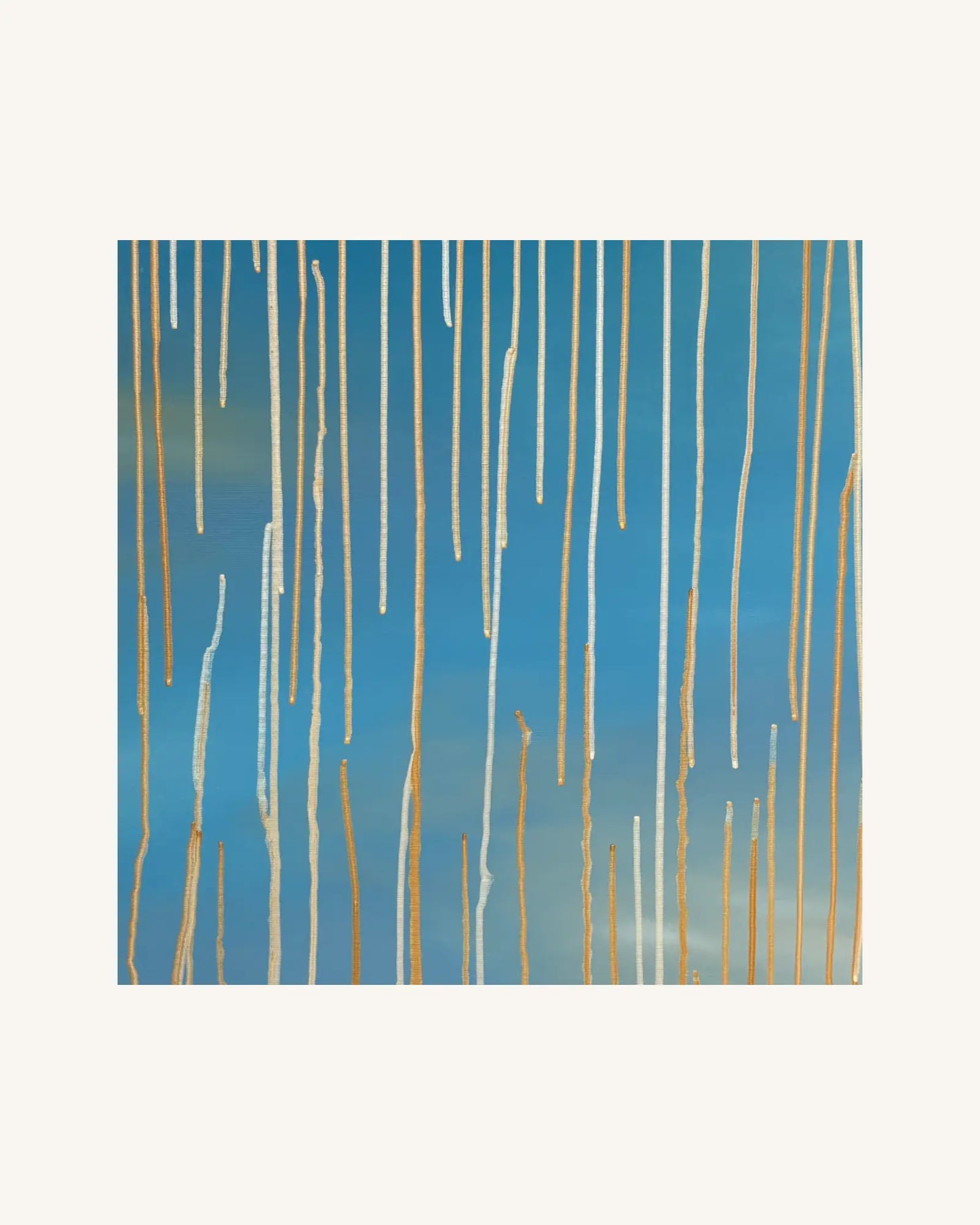 Lemuria XI - Geburt des Lichtprinzen 0