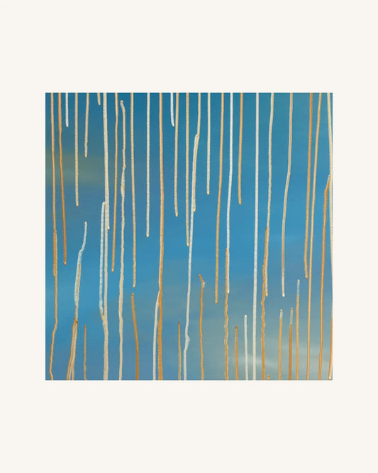 Lemuria XI - Geburt des Lichtprinzen 0