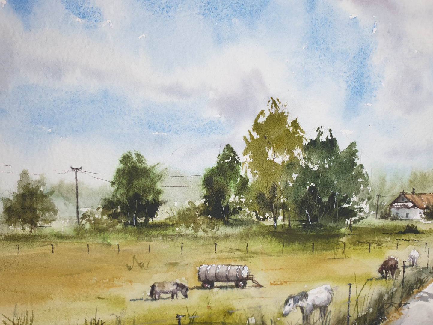 Horses