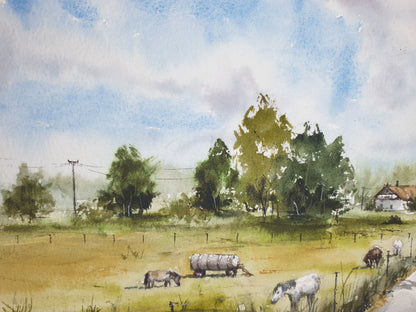 Horses