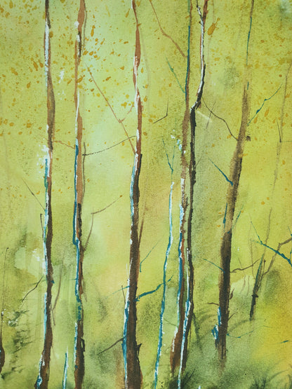 Simplifying Nature