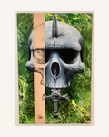 DERMA// EXPOSED SKULL 1