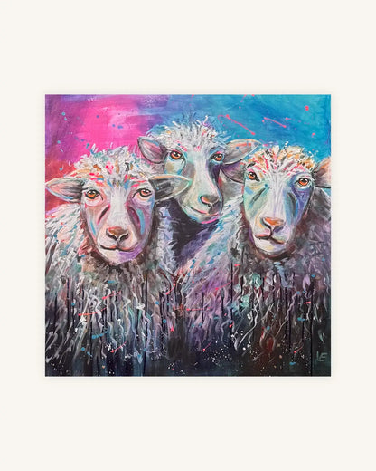 Wool Gang 1