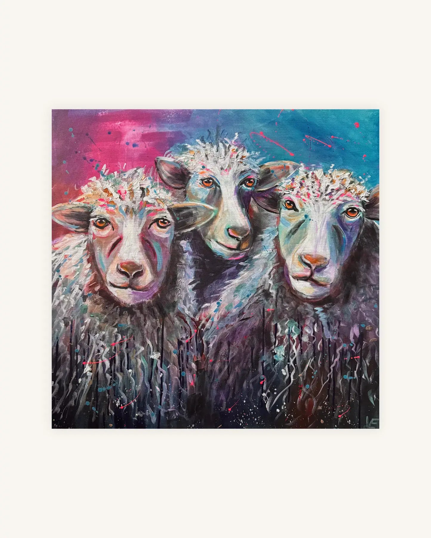 Wool Gang 0