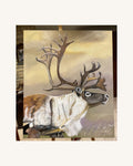 The Caribou 0
