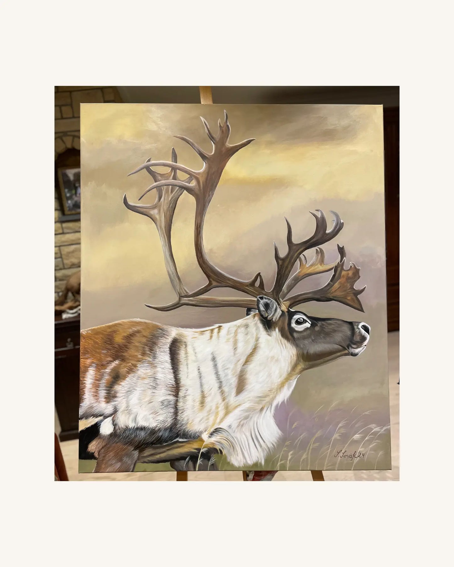 The Caribou 0