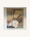The Caribou 1
