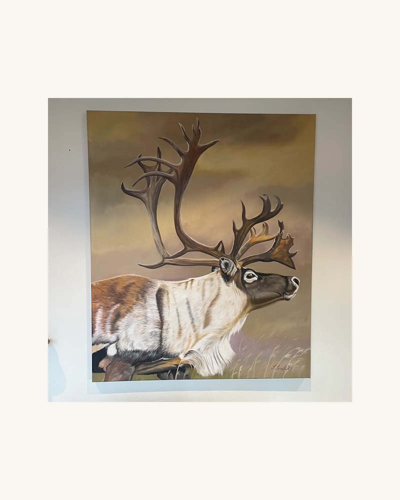 The Caribou 1