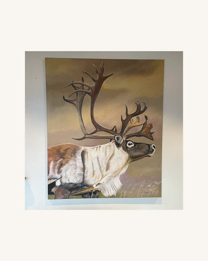The Caribou 1