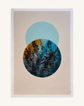 Farn/Fern 0