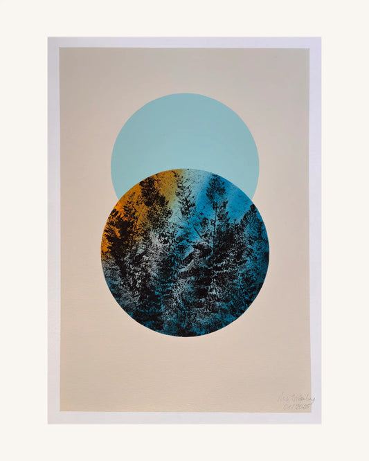 Farn/Fern 0