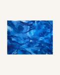Poseidon's Veil 0
